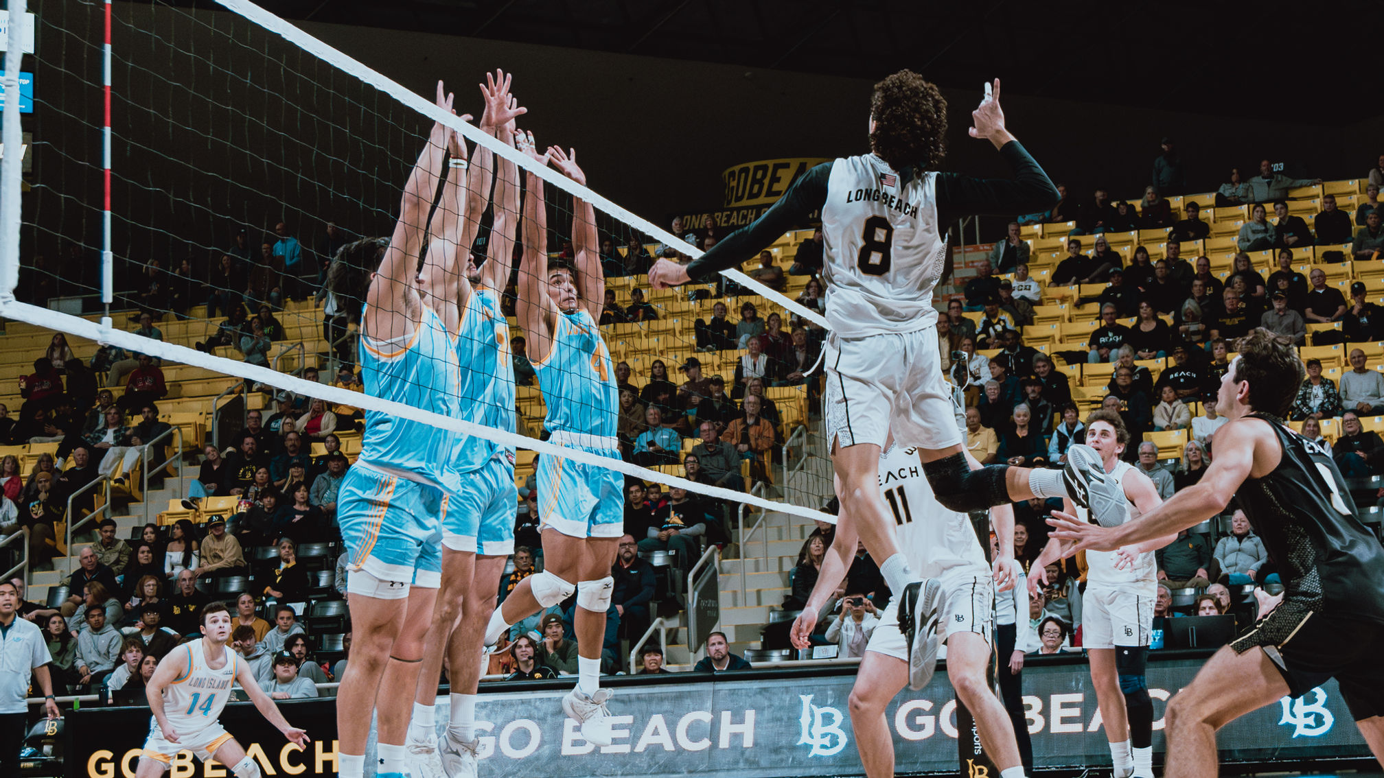 LBSU MVB season opener vs. Long Island